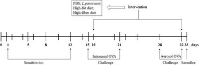 Influence of Diet on the Effect of the Probiotic Lactobacillus paracasei in Rats Suffering From Allergic Asthma